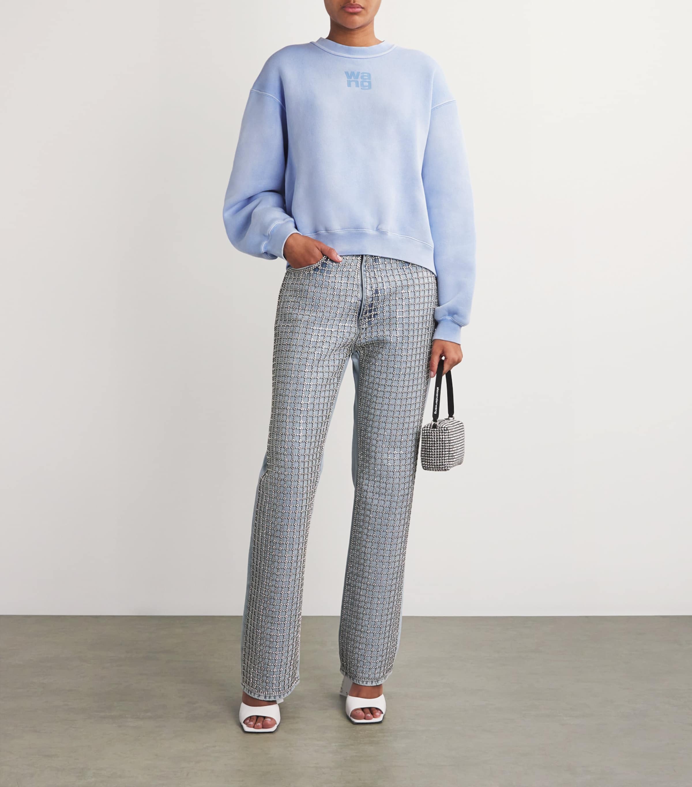 Puff Print Terry Sweatshirt WASHED PALE BLUE Image 2