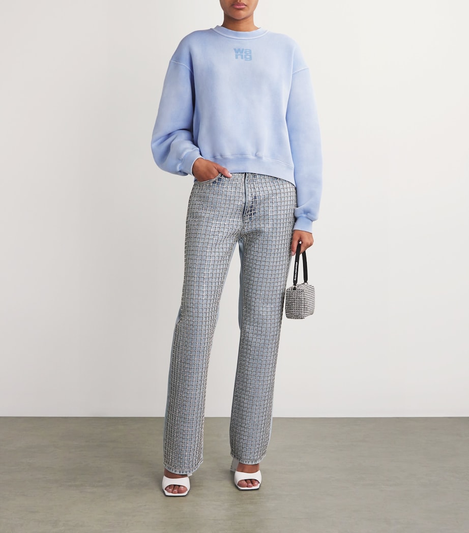 Puff Print Terry Sweatshirt WASHED PALE BLUE Image 2