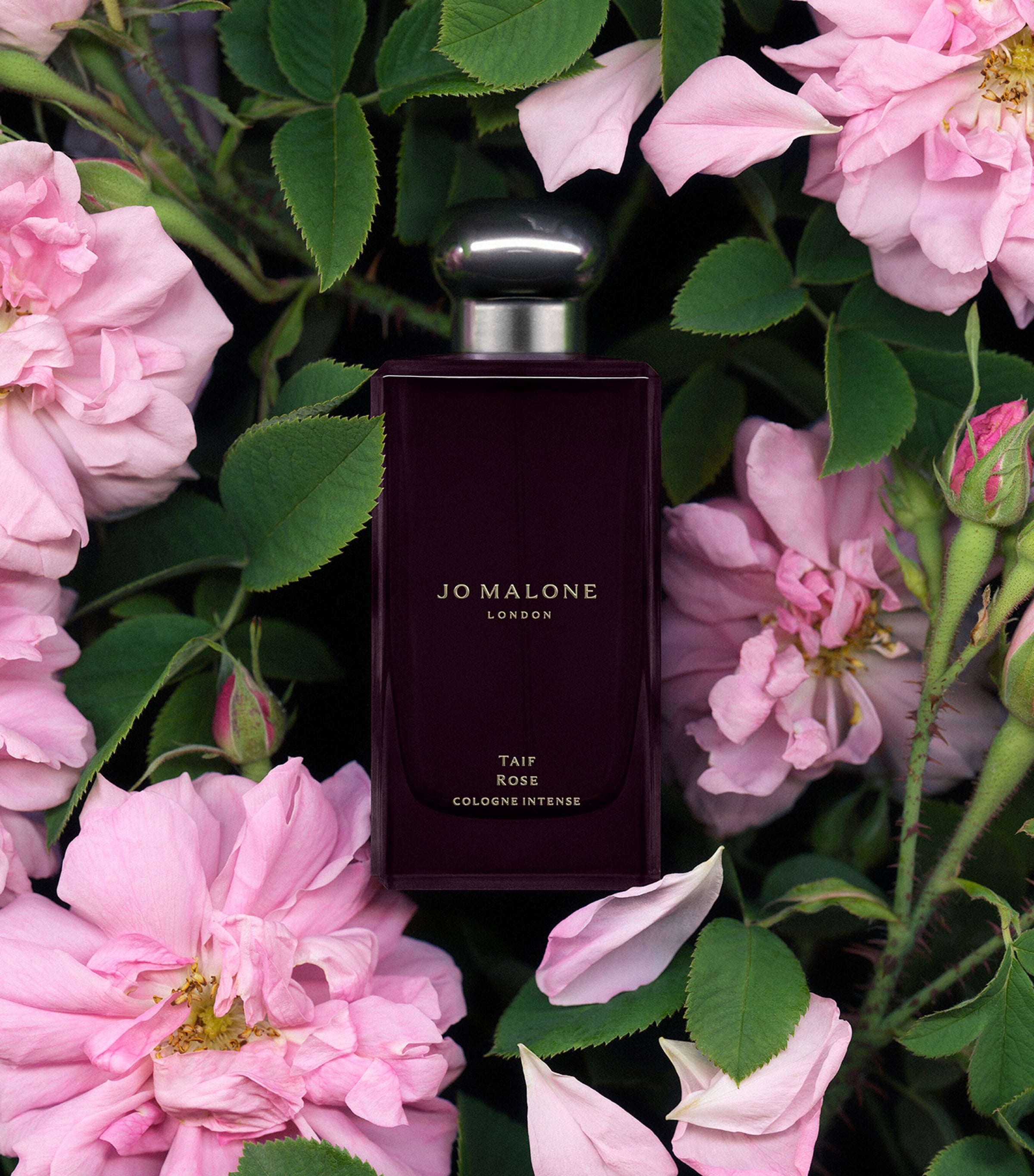 Taif Rose Cologne Intense (100ml) NO COLOUR Image 2