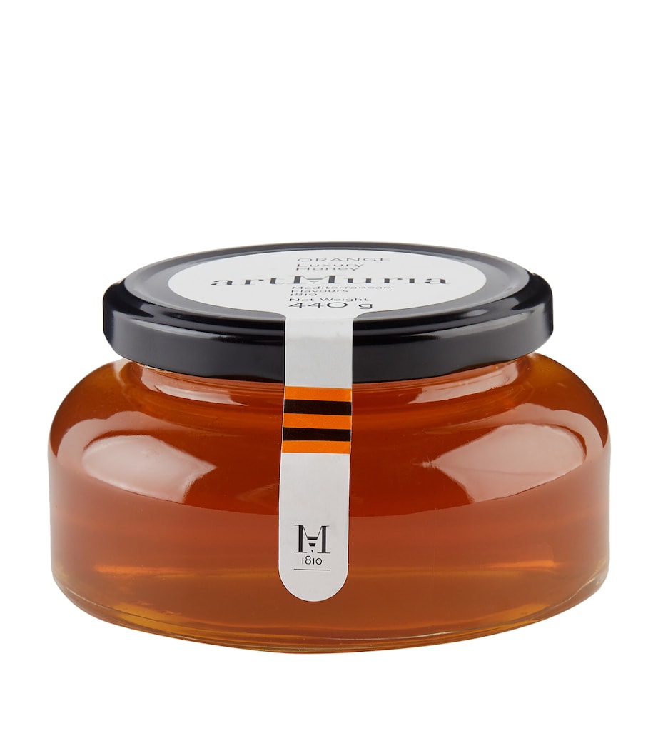 Orange Honey (440g) NO COLOUR Image 1
