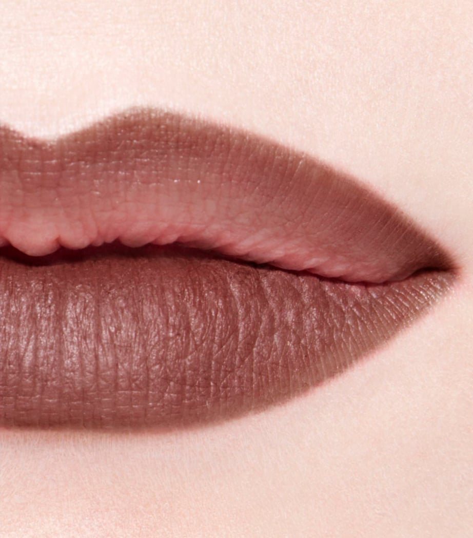 LE CRAYON LÈVRES RENOVATION Longwear Lip Pencil NUDE BRUN Image 5