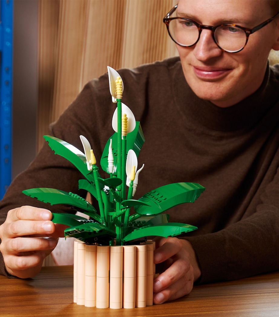 Botanical Collection Peace Lily 11504 MULTI Image 3