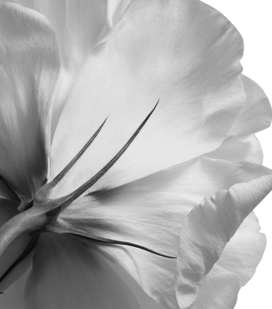 L’Interdit Eau de Parfum (80ml) NO COLOUR Image 4