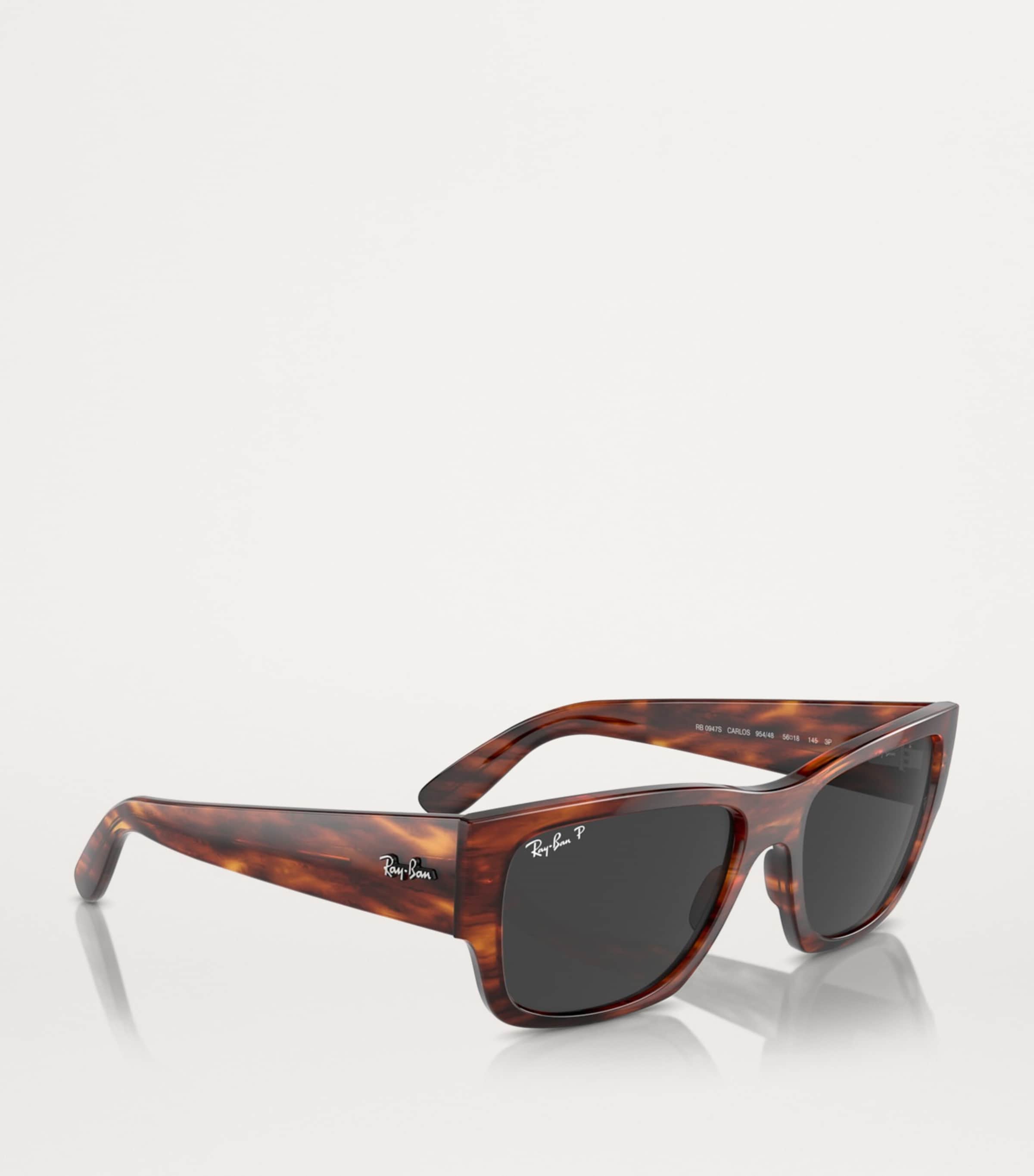 RB0947S Carlos Sunglasses 954/48 Image 6