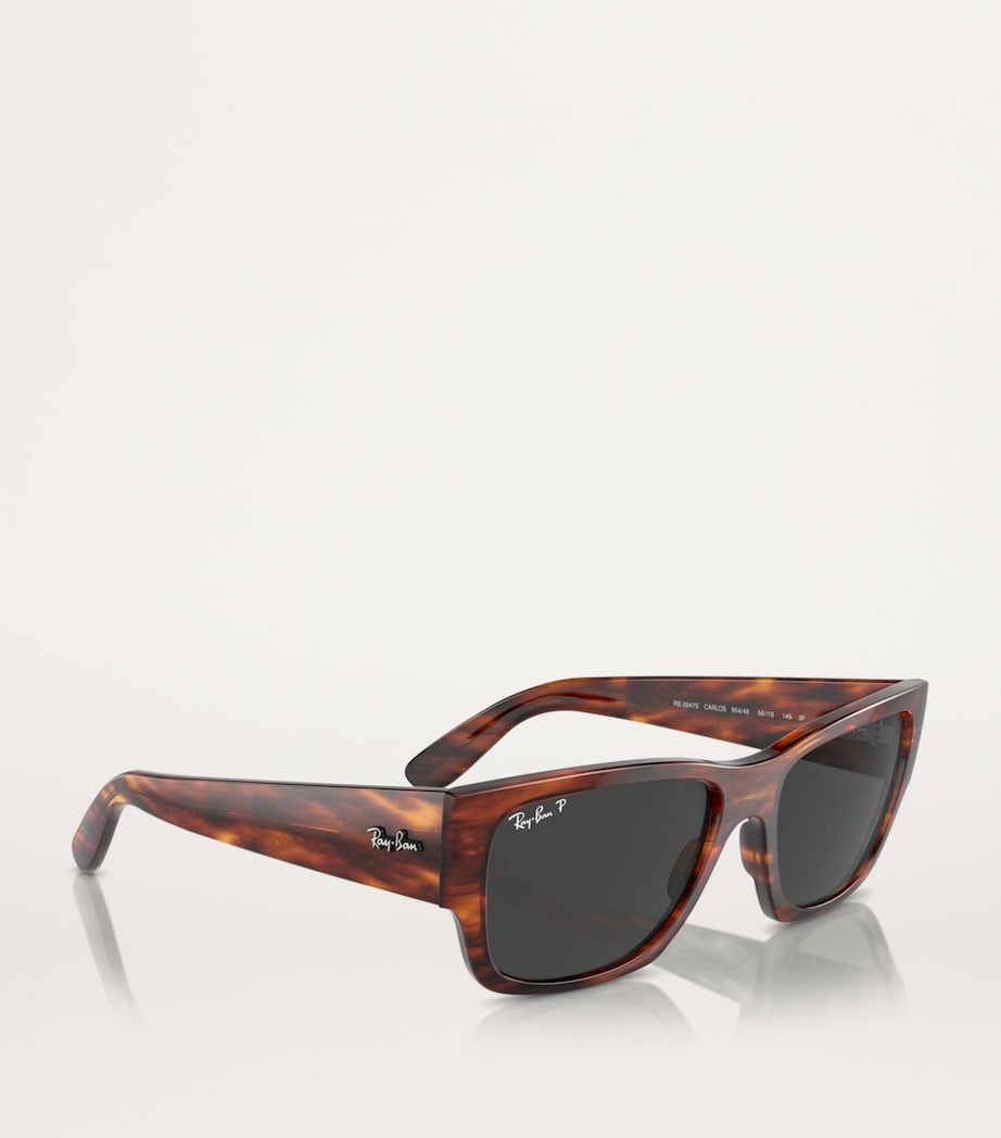 RB0947S Carlos Sunglasses 954/48 Image 6