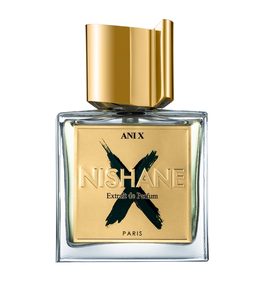 Ani X Extrait de Parfum (100ml) NO COLOUR Image 1