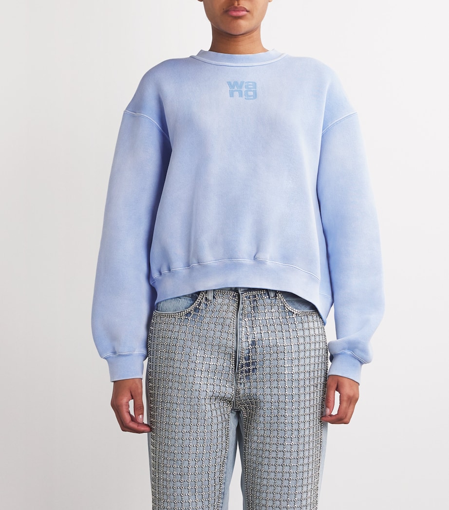 Puff Print Terry Sweatshirt WASHED PALE BLUE Image 3