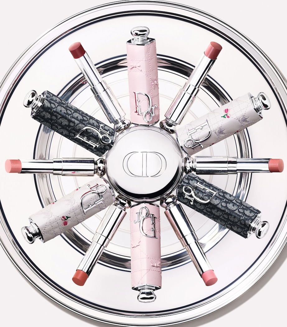 DIOR Dior Addict Lipstick Case Pink Image 2