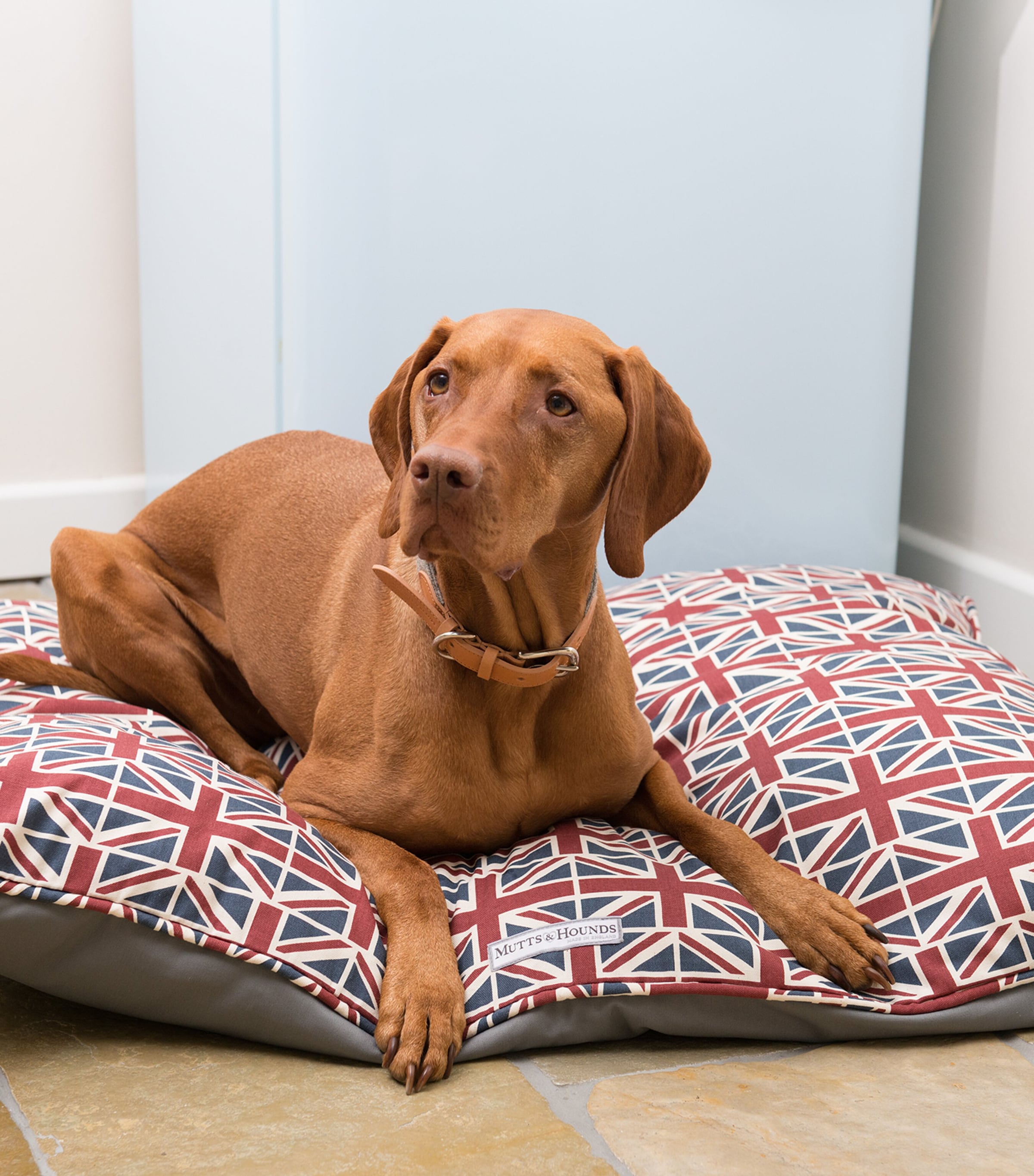 Mutts And Hounds Union Jack Pillow Dog Bed (Large) Red/blue/cream Image 3