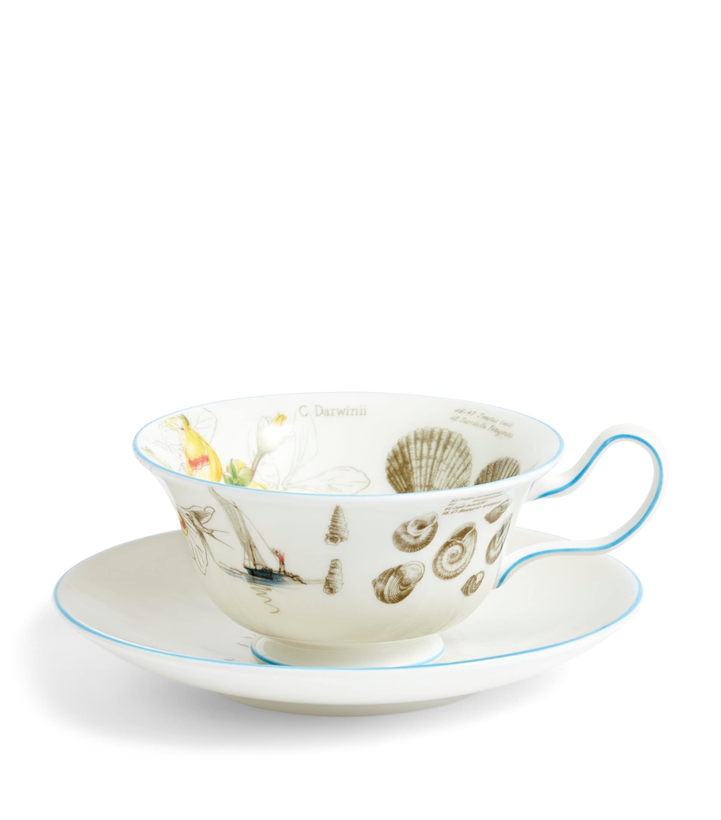 Voyage of the Beagle Brazil Plate, Teacup and Saucer Set MULTI Image 4