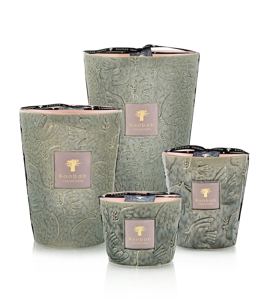 Baobab Collection Colombe Scented Candle (3kg) Green Image 4