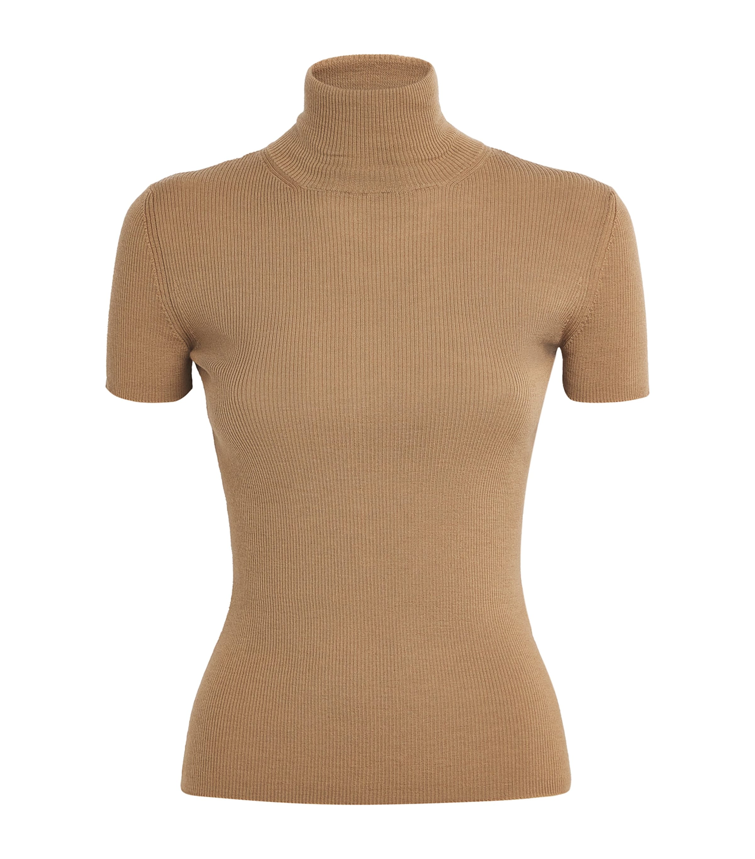 Max Mara Wool Short-sleeve Sweater In Brown