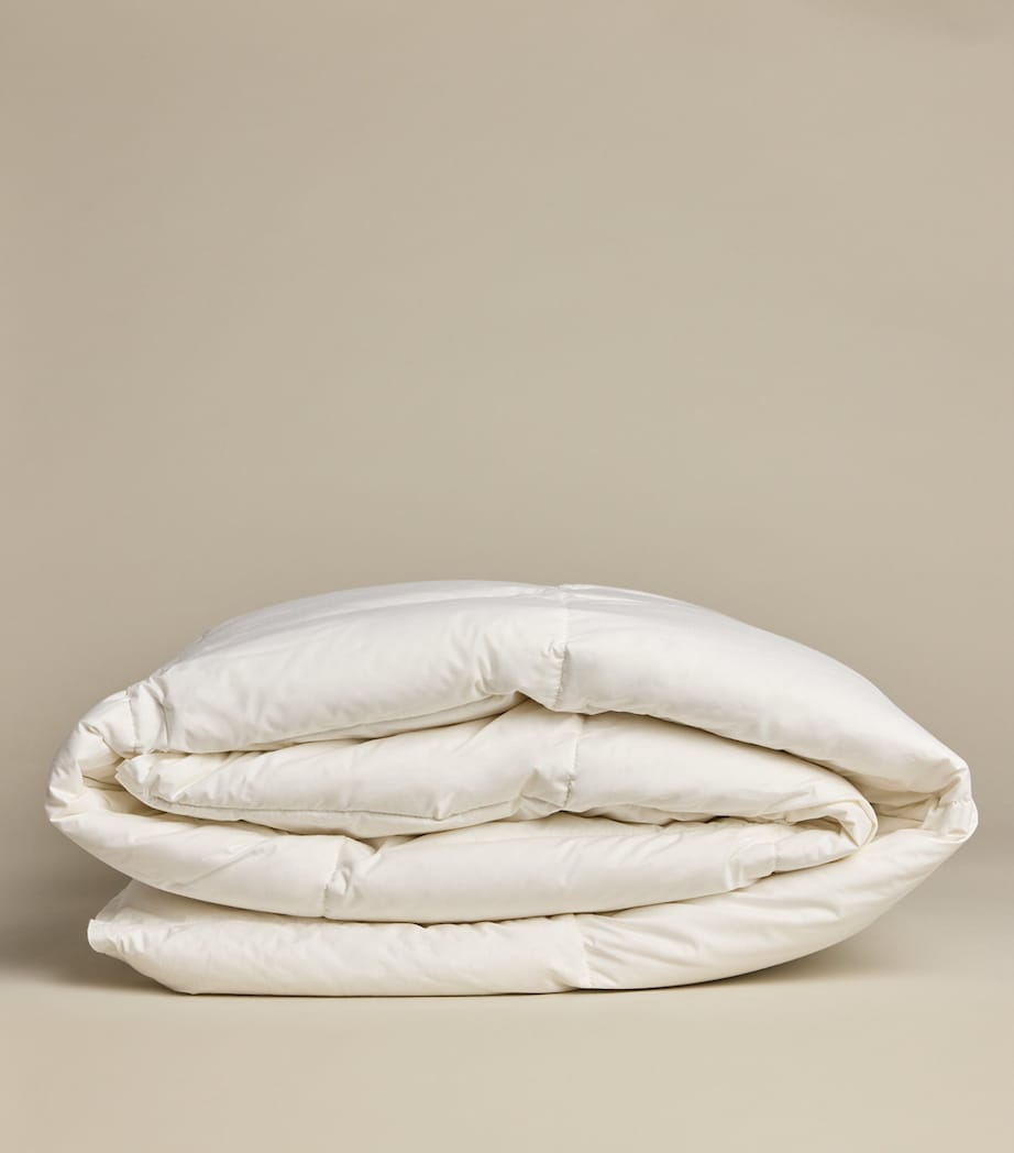 Double Matterhorn Goose Down Duvet (200cm x 200cm) WHITE Image 1