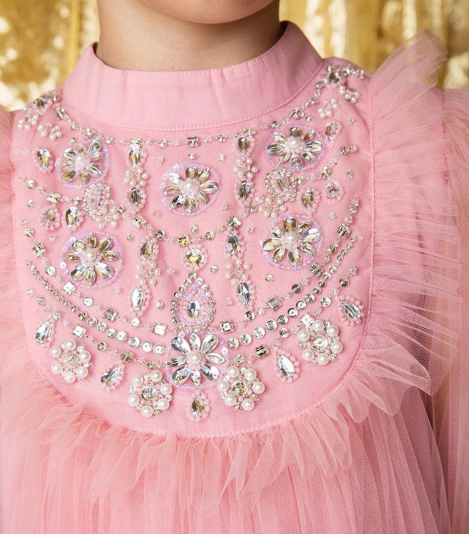 Tutu Du Monde Embellished Tumon Almas Dress (12-14 Years) Peach Blush Image 6