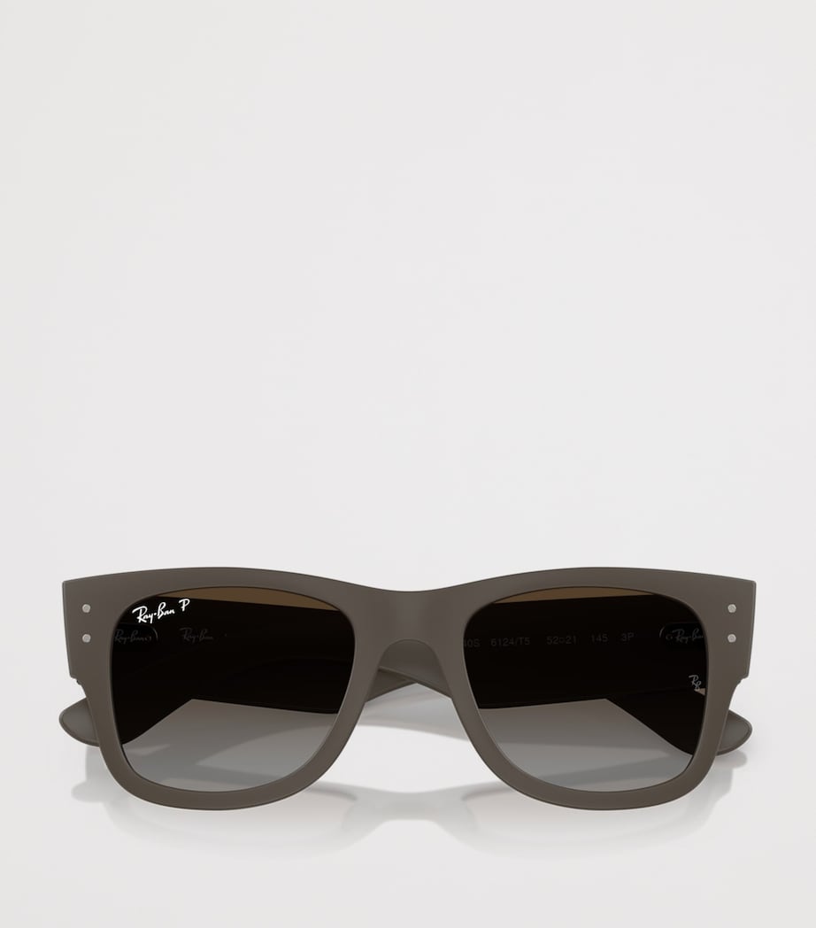 Ray-Ban Mega Wayfarer Liteforce Sunglasses Brown Image 5