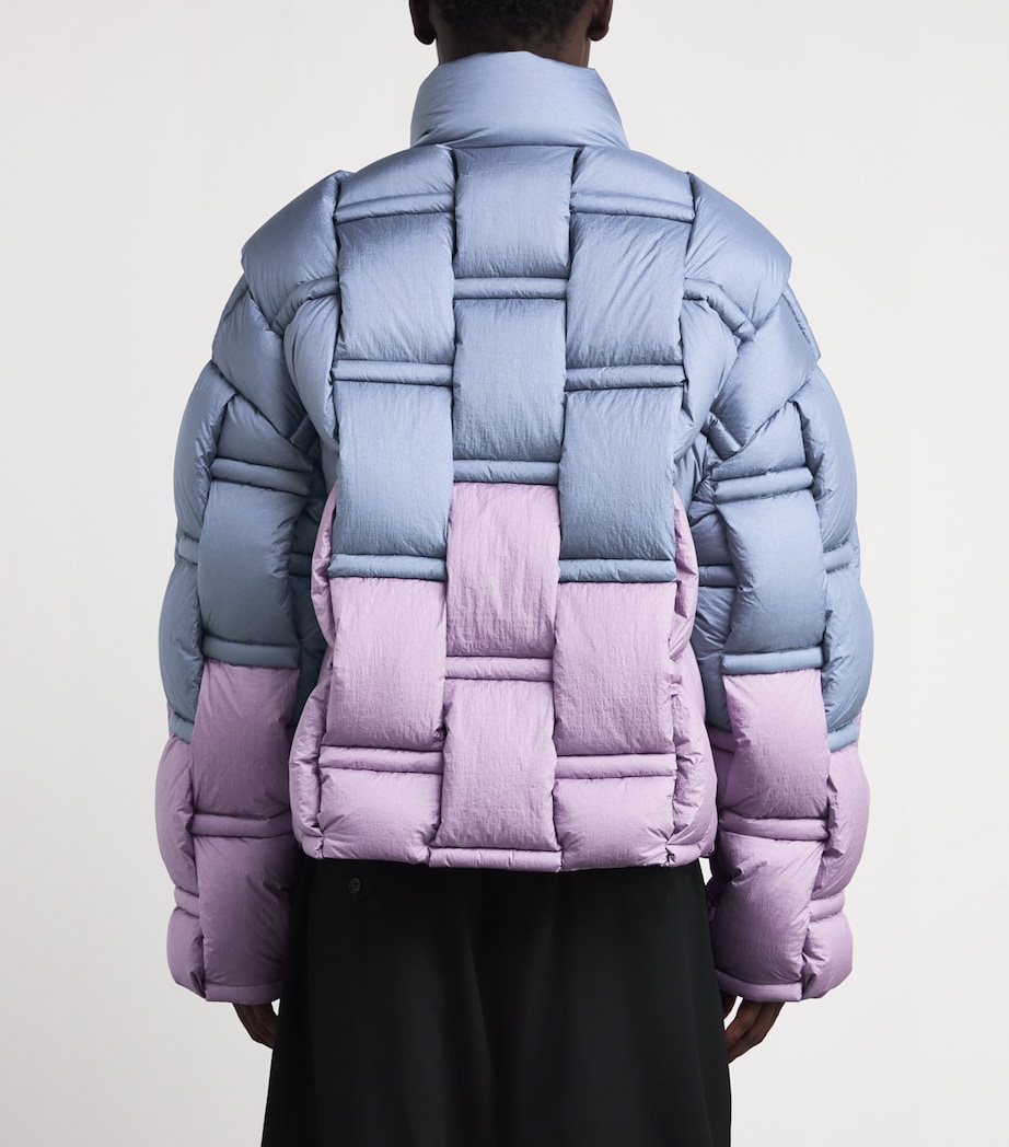 3D Down-Filled Puffer Jacket MTLLIC BLU\PWDR PNK Image 4