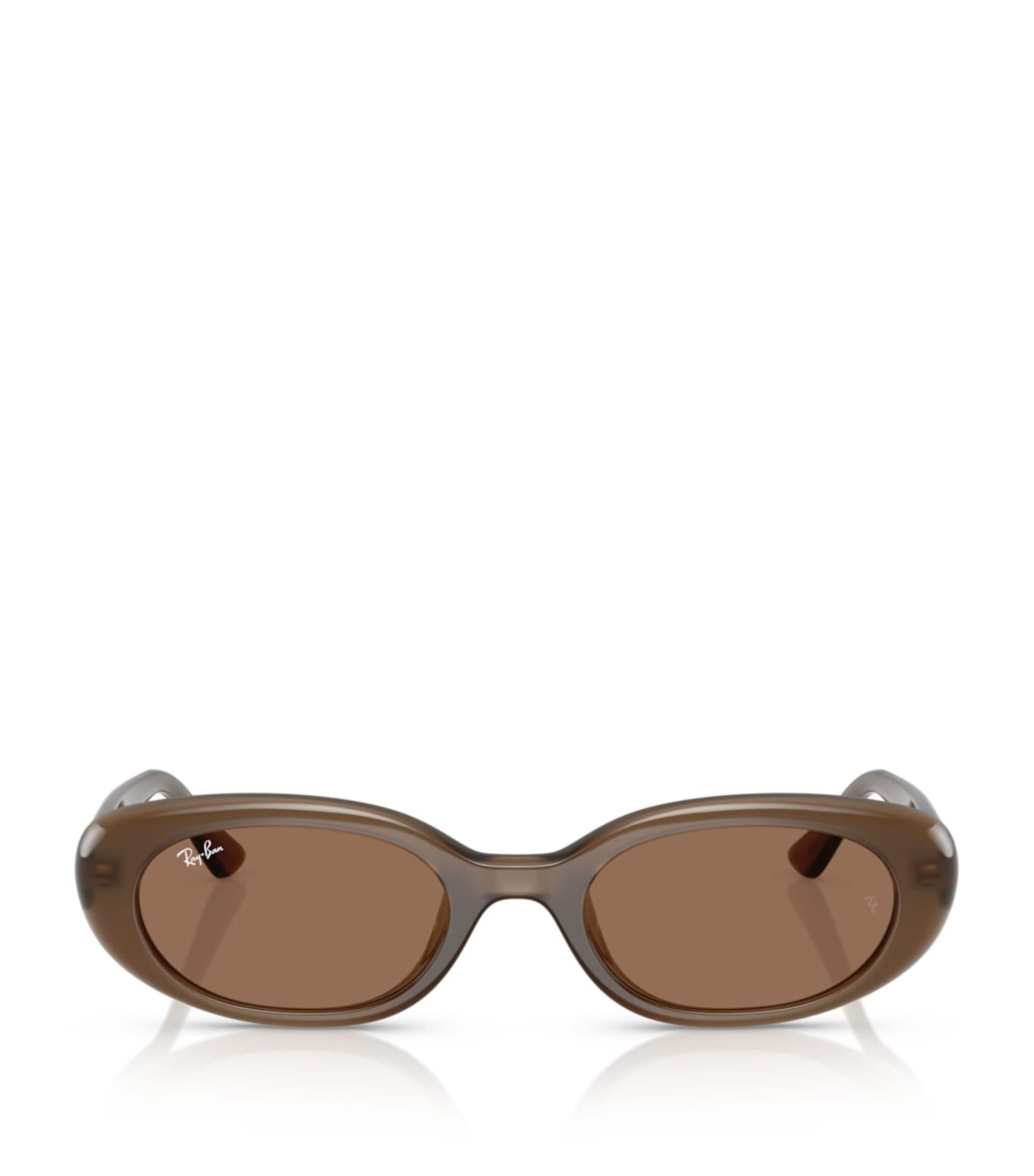 Ray-Ban Injected Oval Sunglasses Image 1