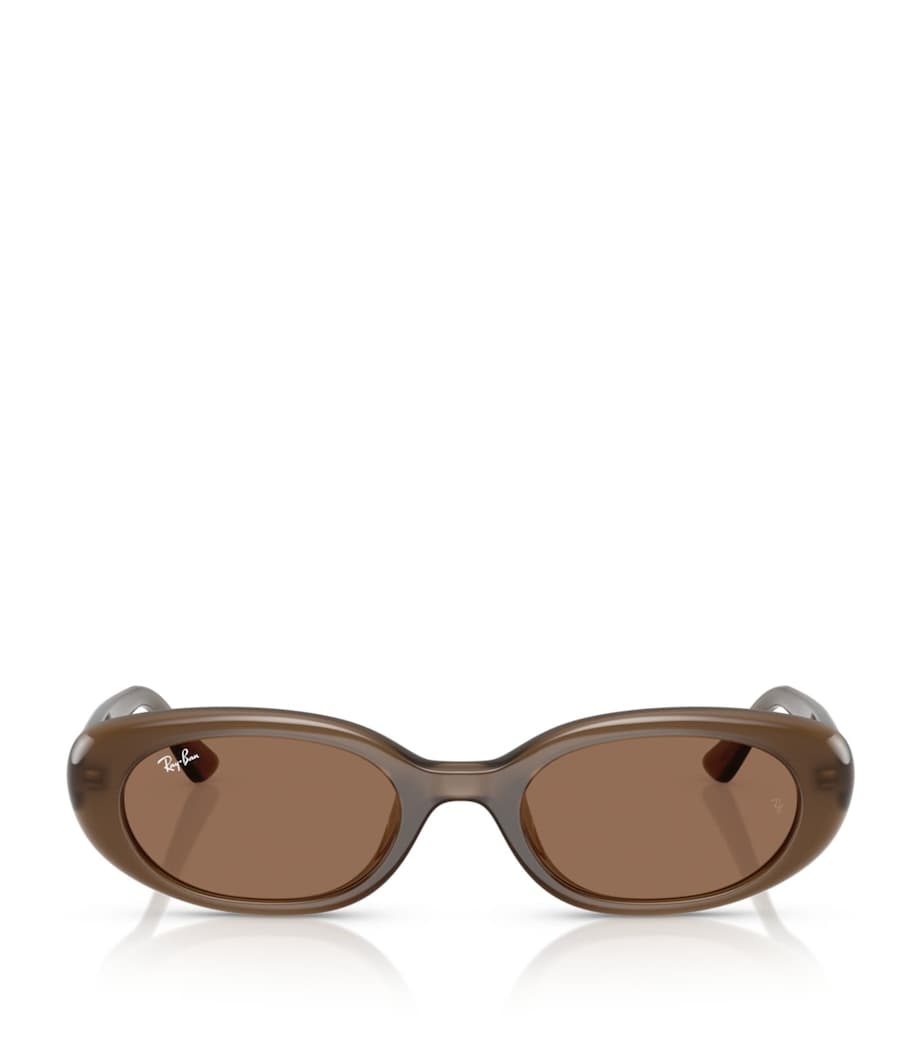 Ray-Ban Injected Oval Sunglasses Image 1