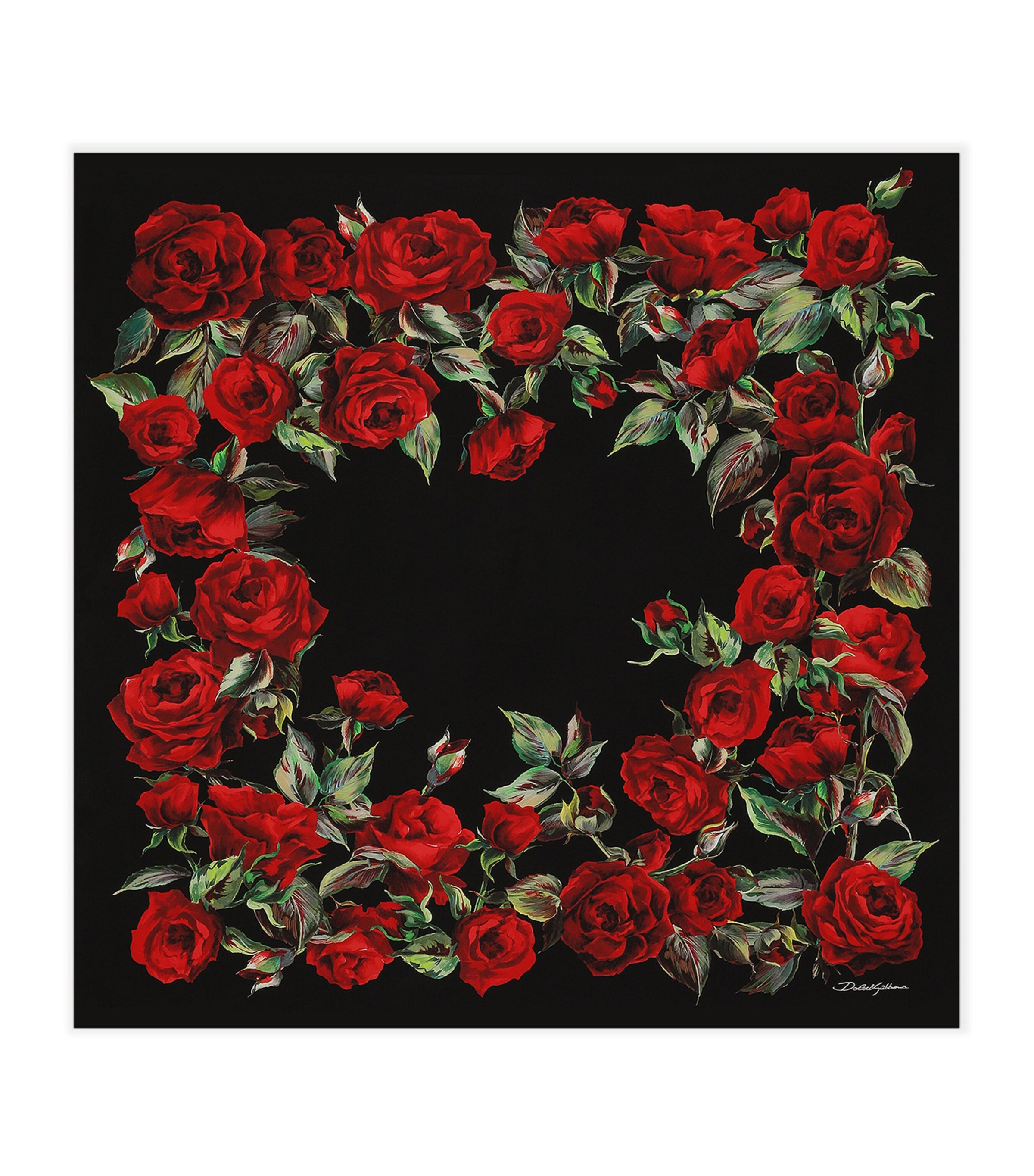 Shop Dolce & Gabbana Silk Rose Print Scarf