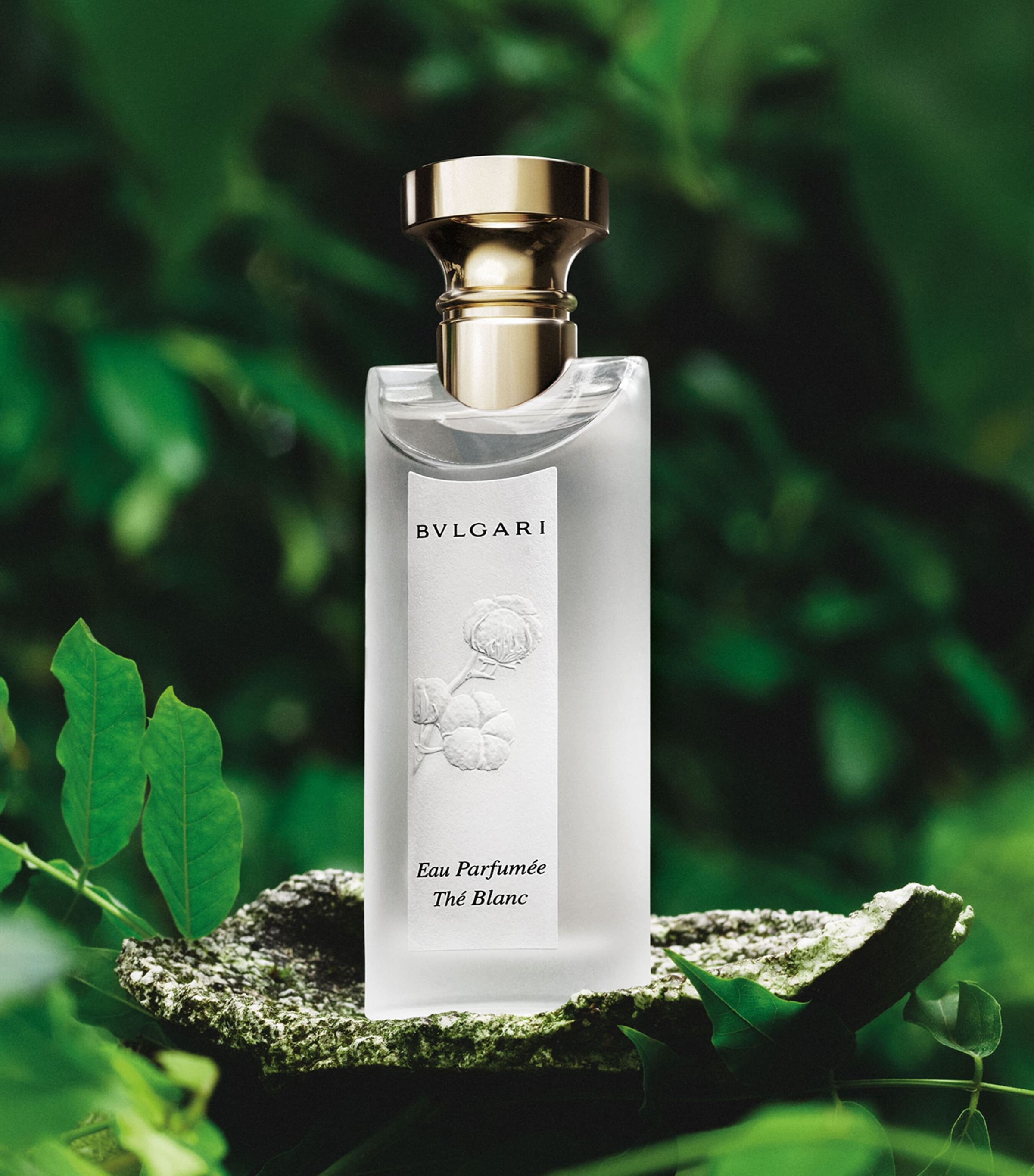 Bvlgari Eau Parfumée Thé Blanc Eau de Toilette (75ml) | Harrods US