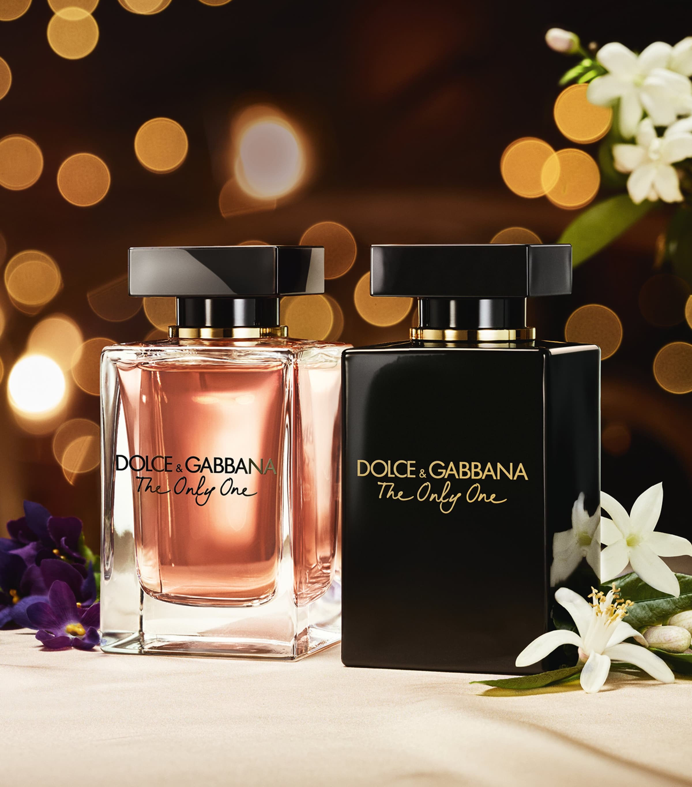 Only dolce gabbana online