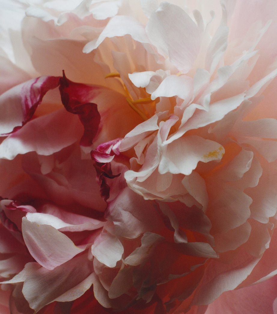 Peony & Blush Suede Soap (100g) NO COLOUR Image 3