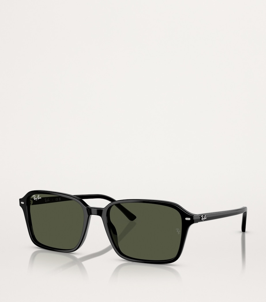 RB2231 Raimond Sunglasses 901/31 Image 2