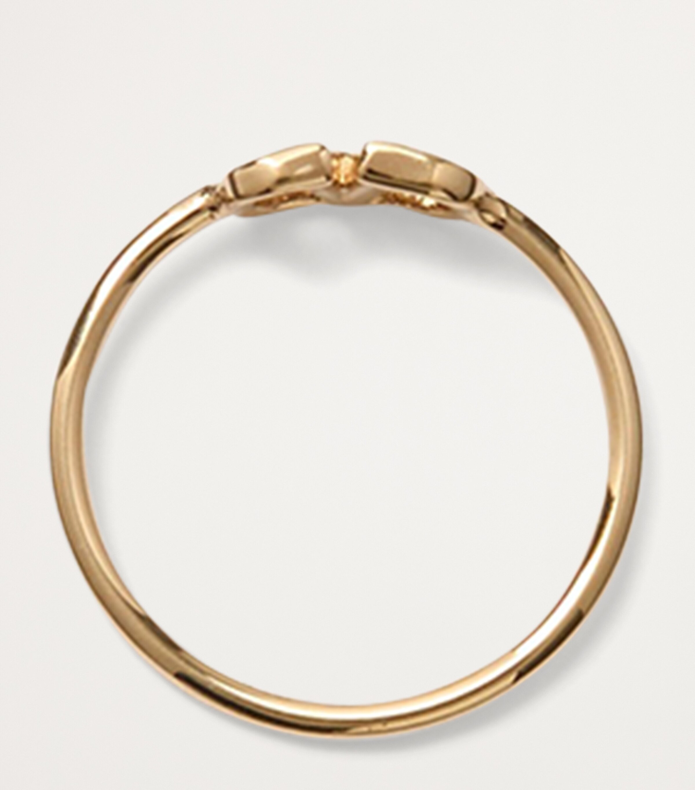 VLogo Ring CS4 Image 2