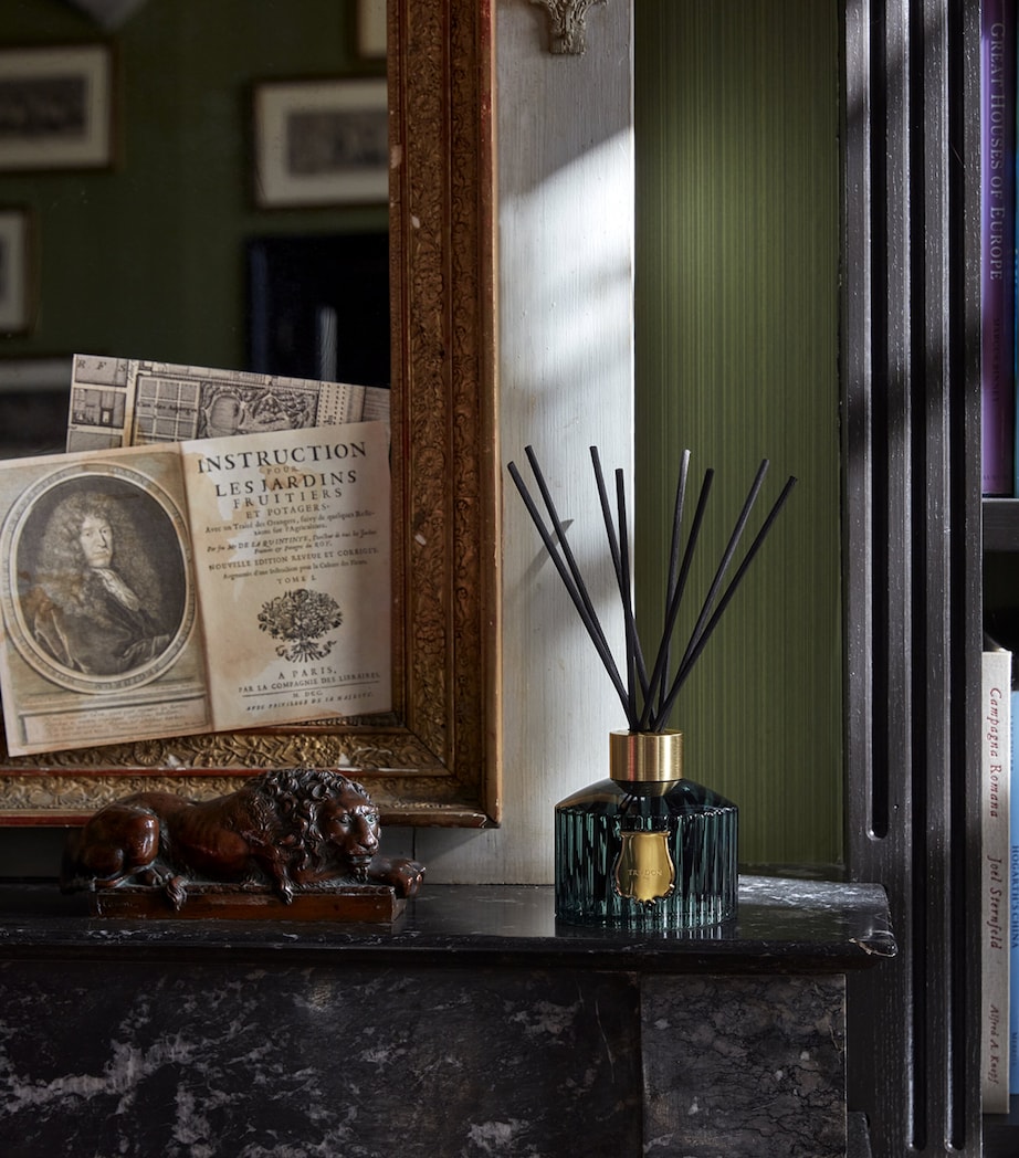 Figuerie Diffuser (1L) BLUE Image 4