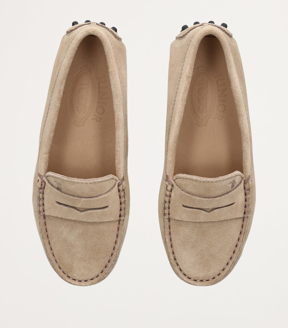 Suede Gommini Loafers TAUPE Image 4