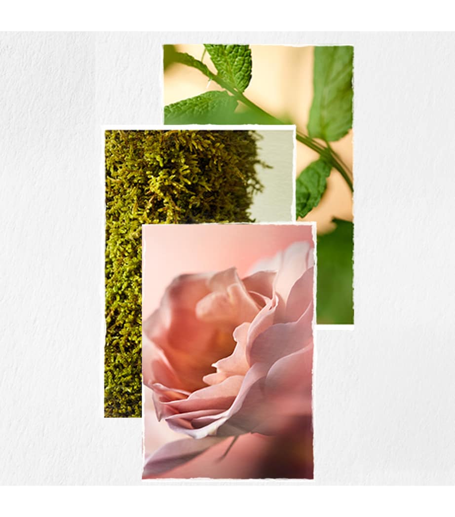 Hydrate Hair Conditioner (266ml) NO COLOUR Image 6