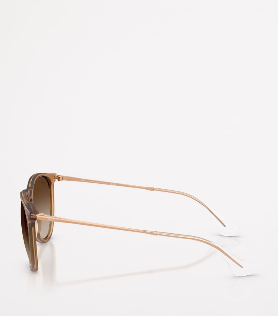 RB4171 Erika Classic Sunglasses 681413 Image 3