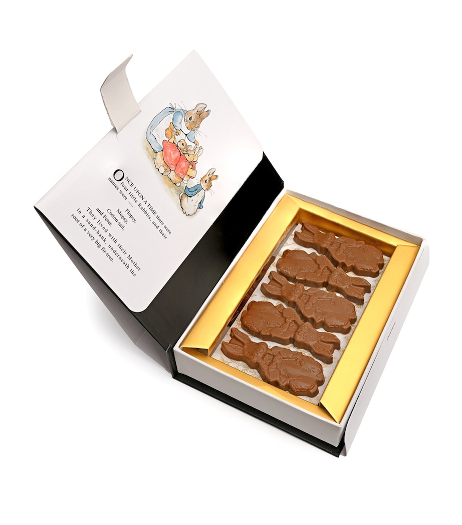 Peter Rabbit Milk Chocolate Book Box (125g) NO COLOUR Image 3