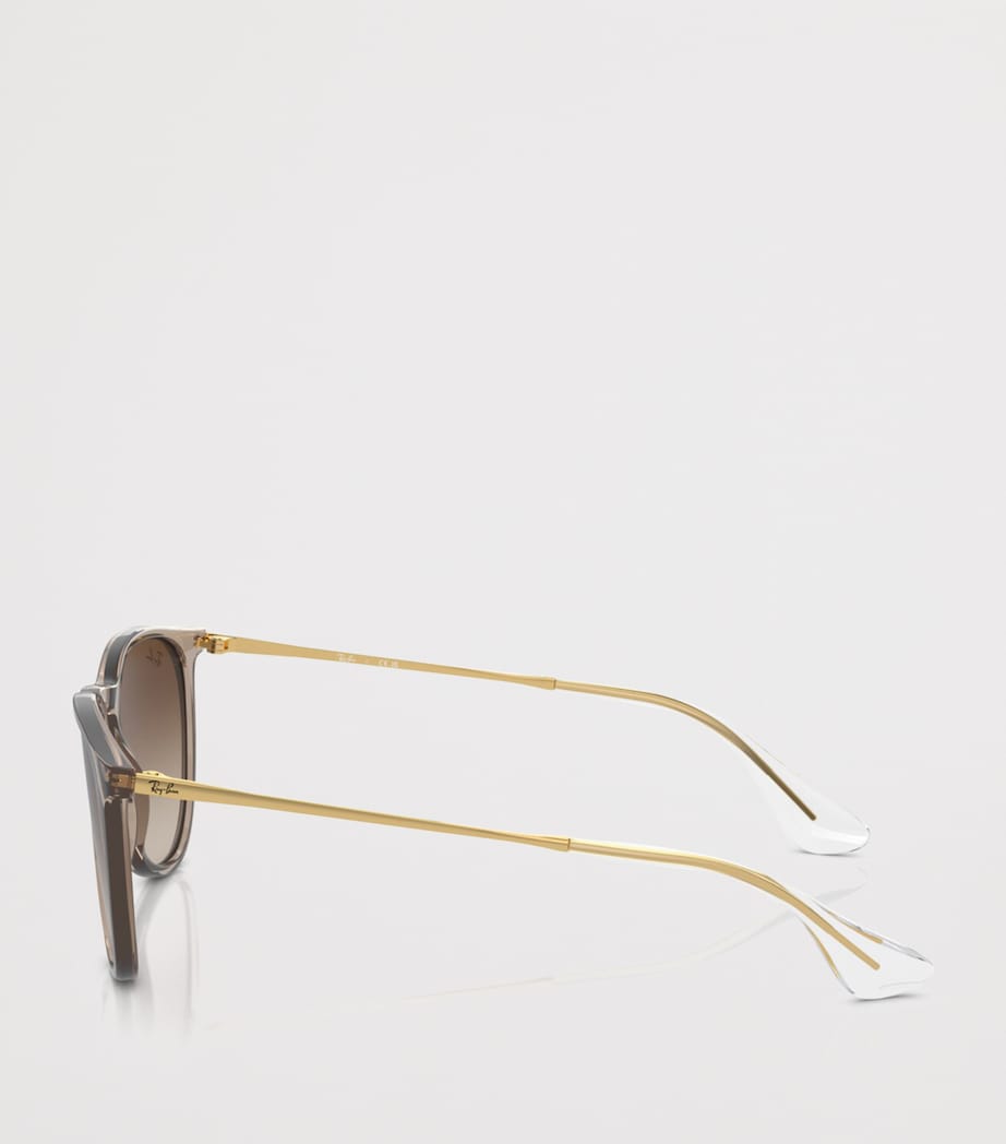 Ray-Ban Erika Classic Phantos Sunglasses Brown Image 3