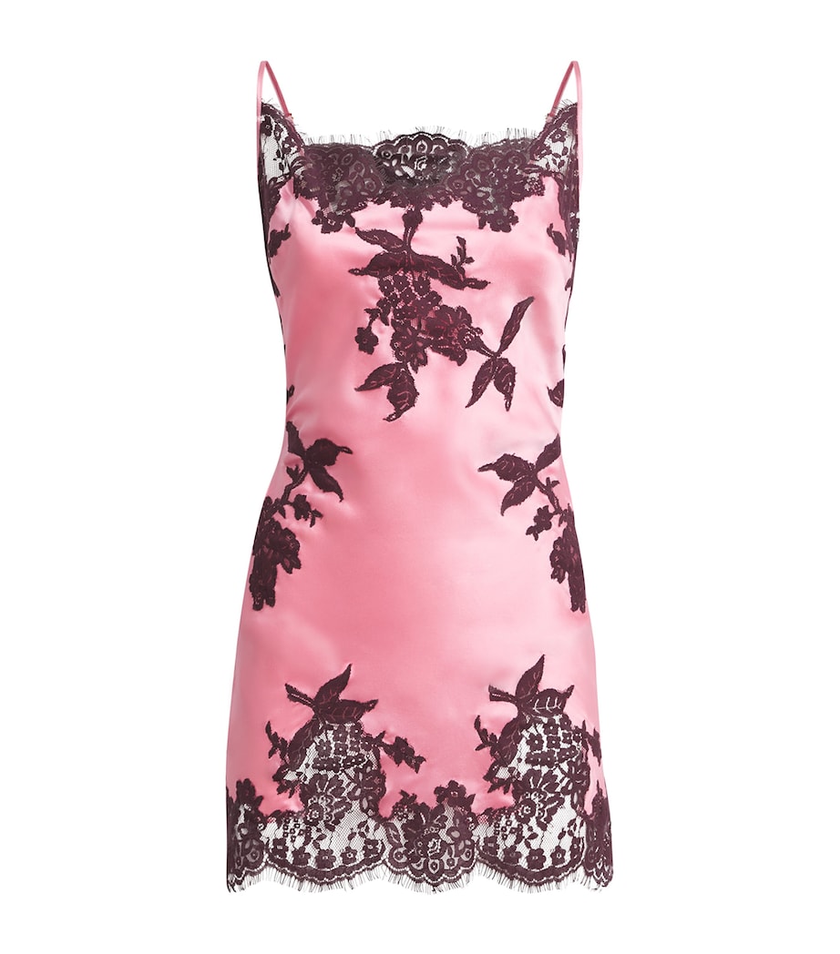 Marjolaine Womens Silk-Lace Mini Slip Dress Blush/brun Image 1