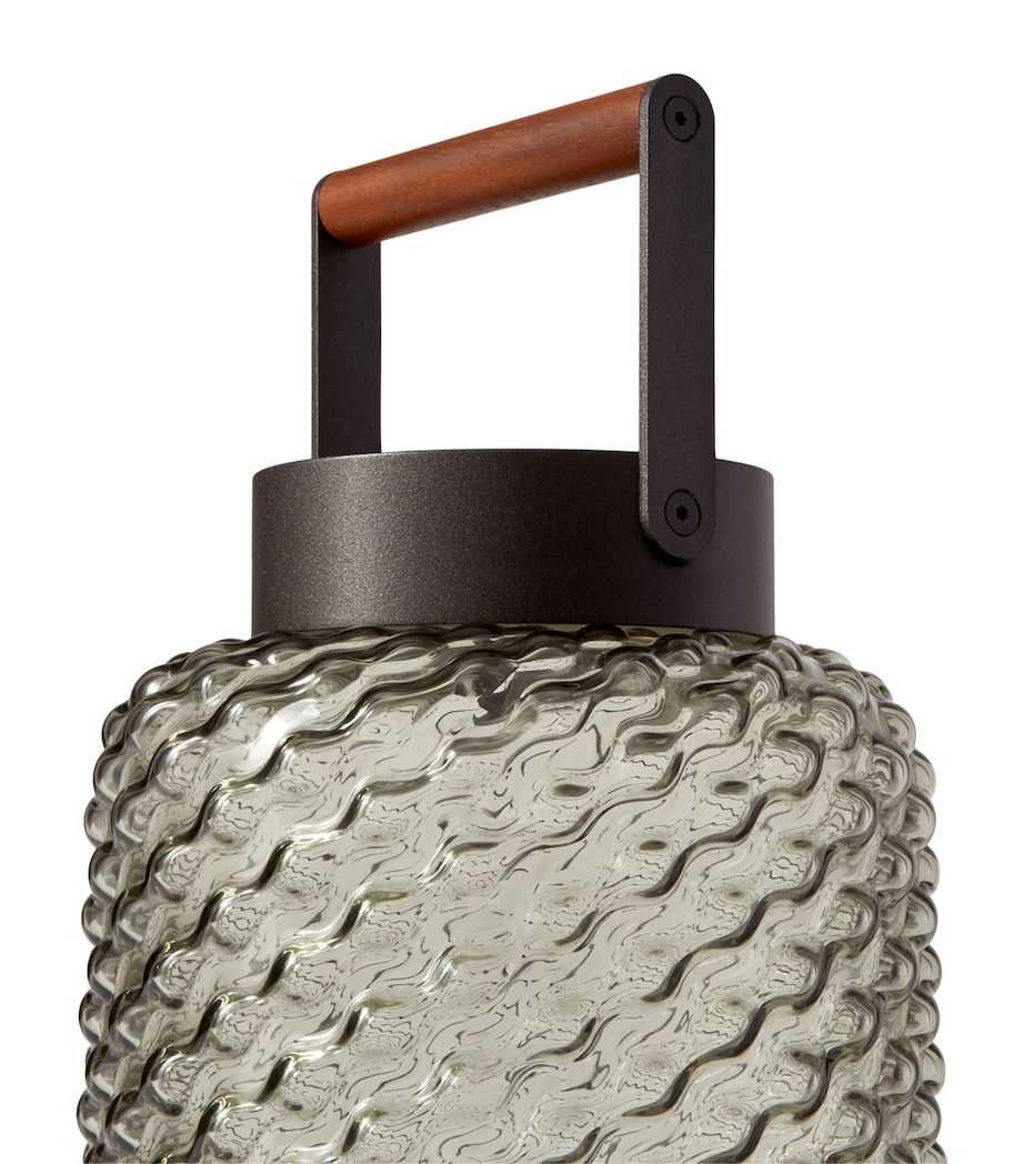 Rechargeable Portable Ficupala Outdoor Lamp TRANSPARENT/BLACK Image 2