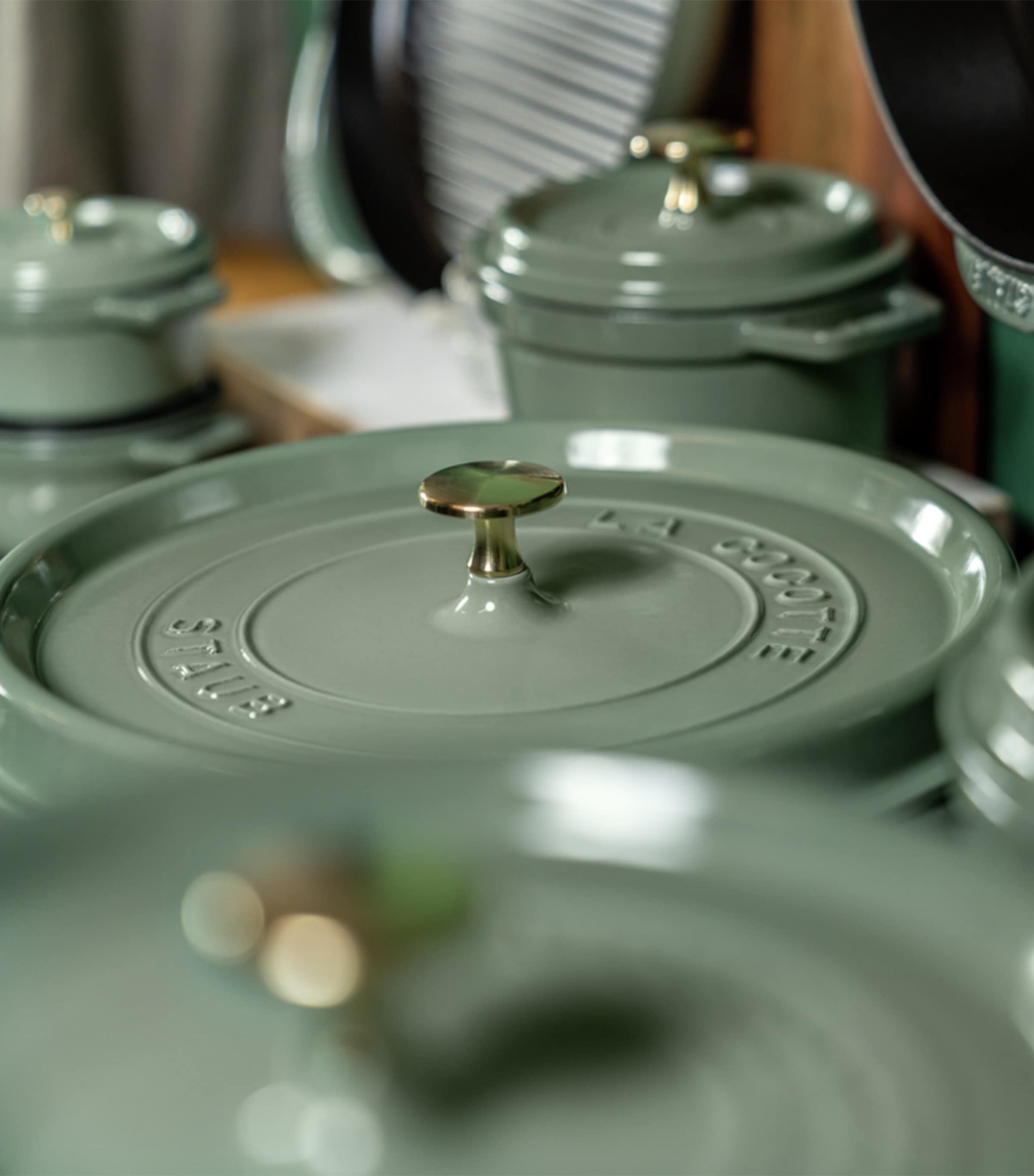 Round Cocotte (26cm) EUCALYPTUS Image 4