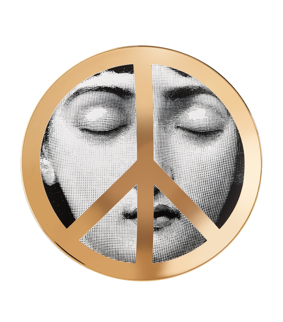 Tema e Variazioni No. 403 Wall Plate (26cm) MULTI Image 1