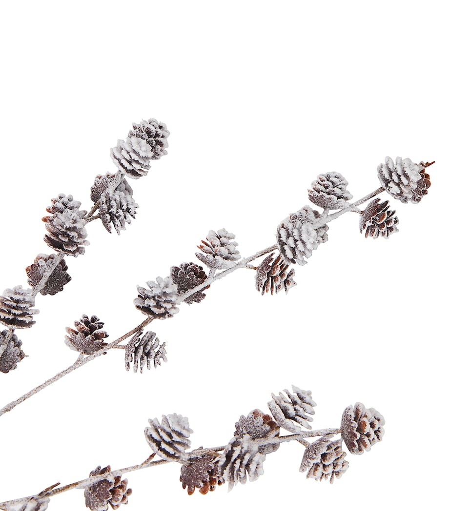 Snow Effect-Trim Pinecone Stem BROWN/WHITE Image 2