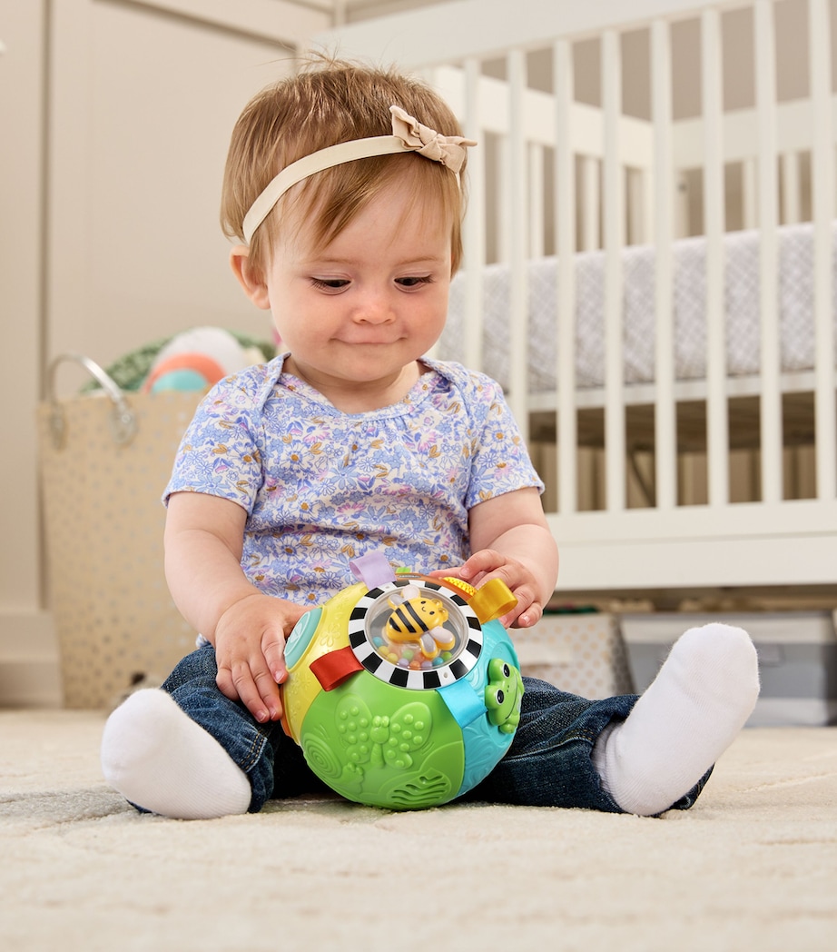 Animal Discoveries Ball MULTI Image 2