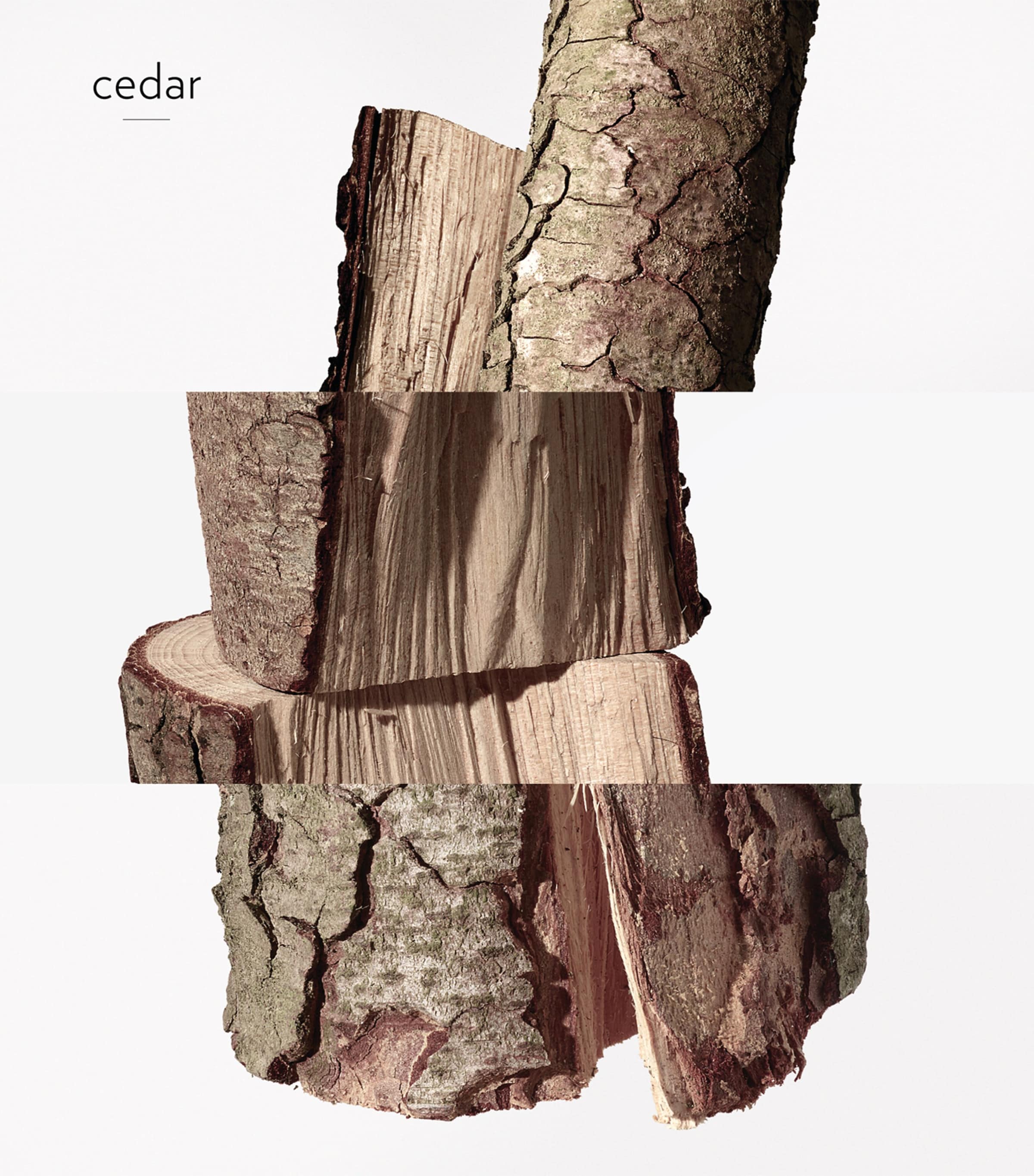 Twilly D'Hermès Ginger Eau de Parfum (50Ml) NO COLOUR Image 7