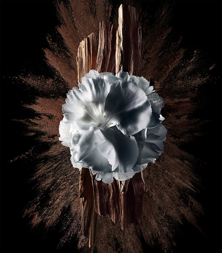 Gentleman Society Eau de Parfum Extrême (60ml) NO COLOUR Image 4