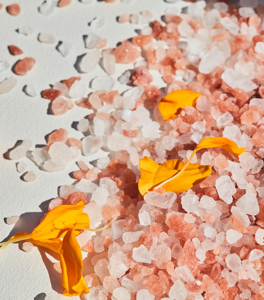 Dharma Himalayan Salt Bath Soak (460g) CLEAR Image 3