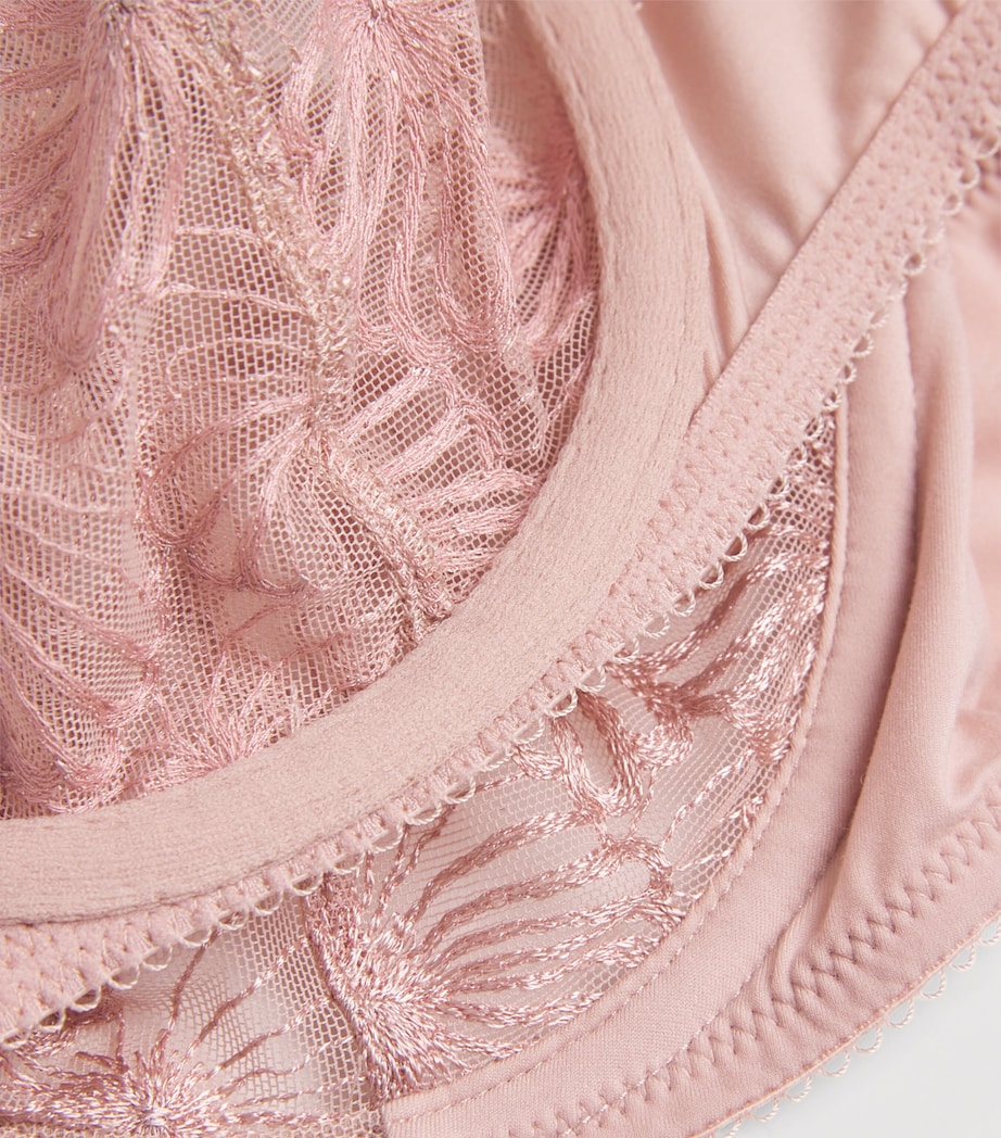 Lace Cateline Plunge Bra ASP ASPEN ROSE Image 4