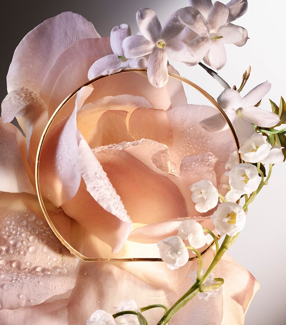 Absolue 6AM Rose Eau de Parfum (100ml) NO COLOUR Image 5