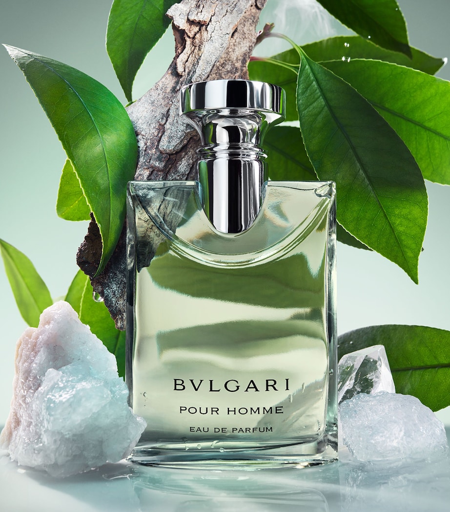 Bvlgari Pour Homme Eau de Parfum (100ml) Image 2