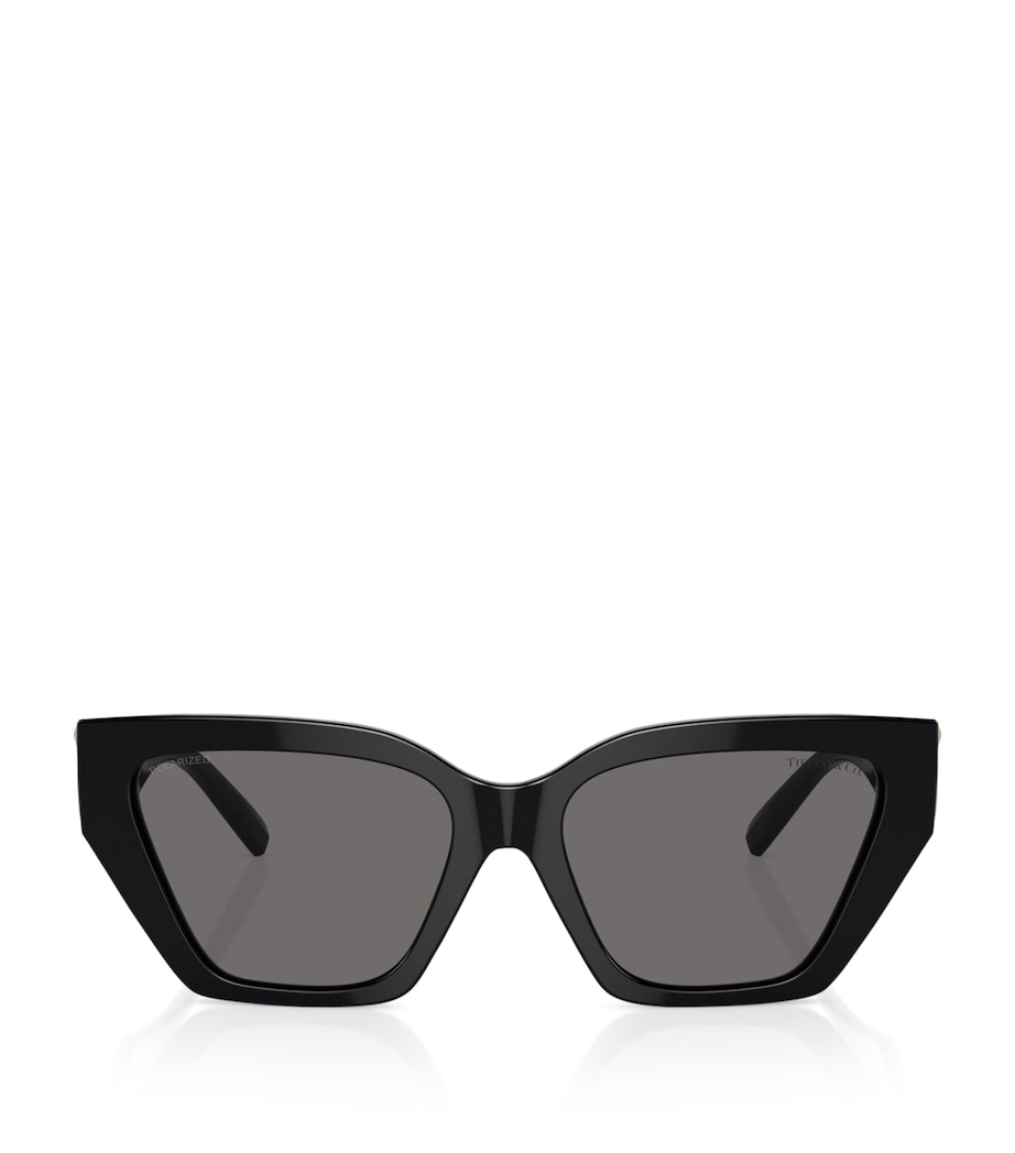 Steel TF4218 Sunglasses 800181 Image 1