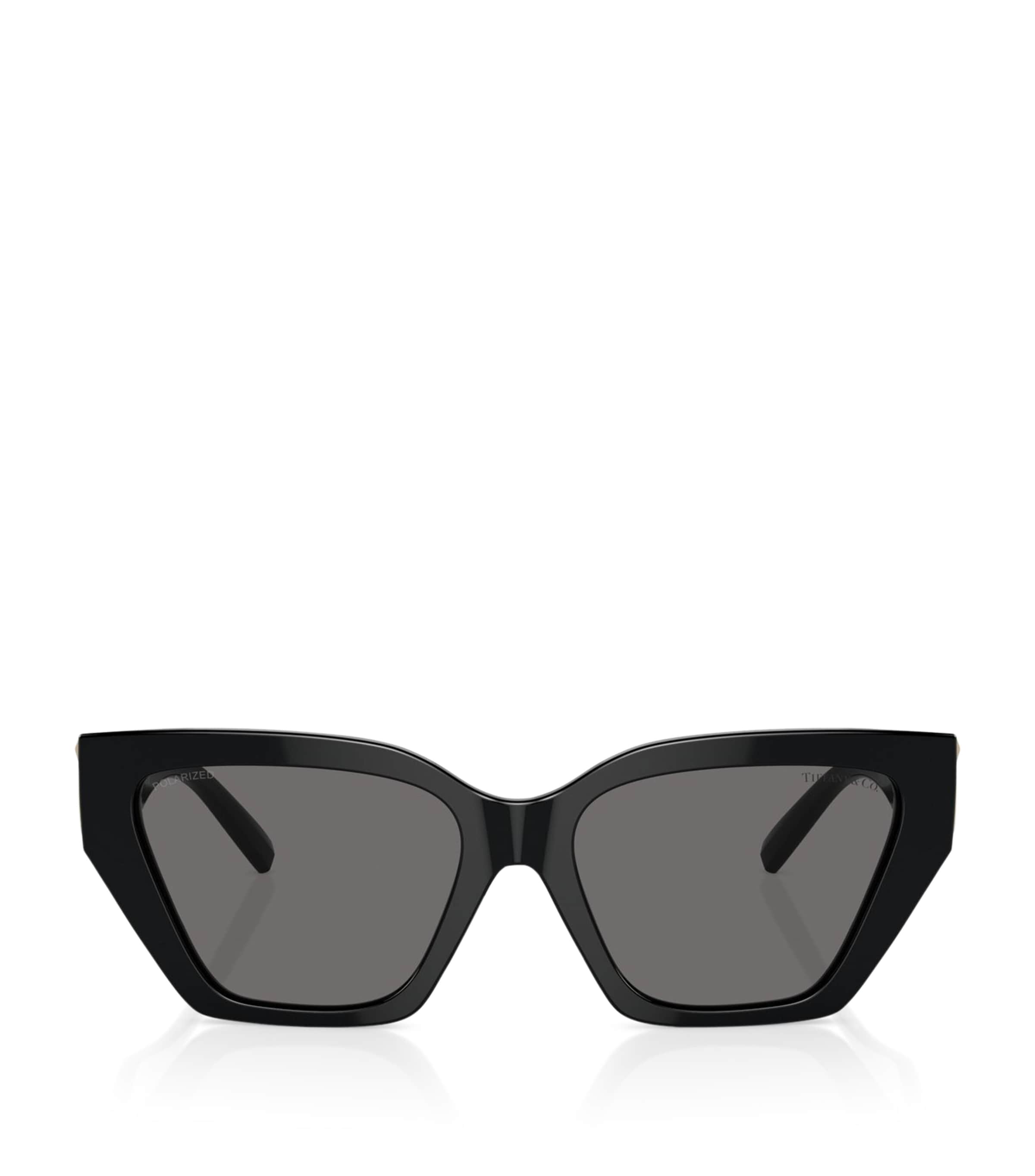 Tiffany & Co. Steel TF4218 Sunglasses | Holiday Shop | Womens | Sunglasses | Women Accessories | Designers | Tiffany & Co