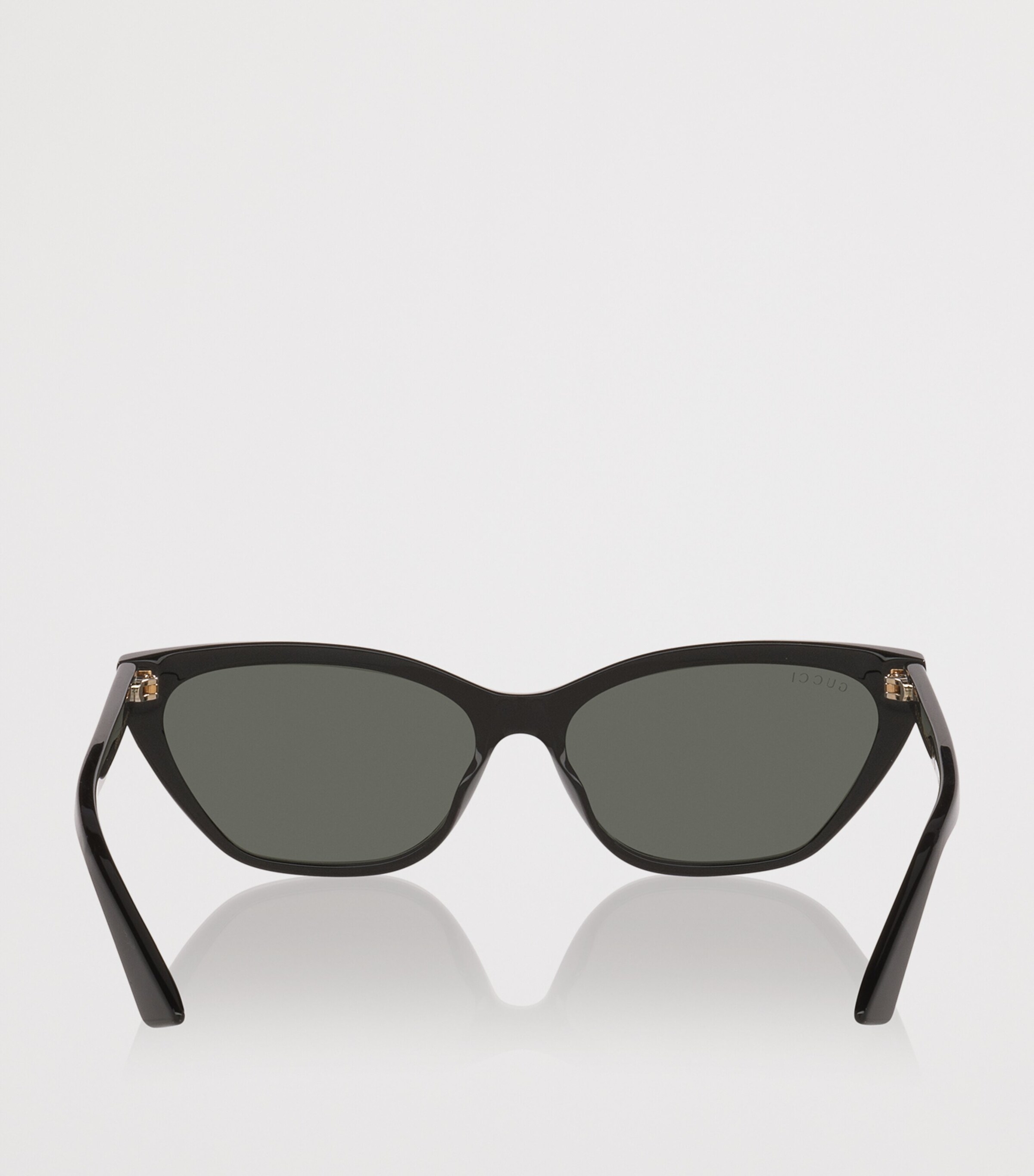 Acetate Cat Eye Sunglasses 1100B2 Image 4
