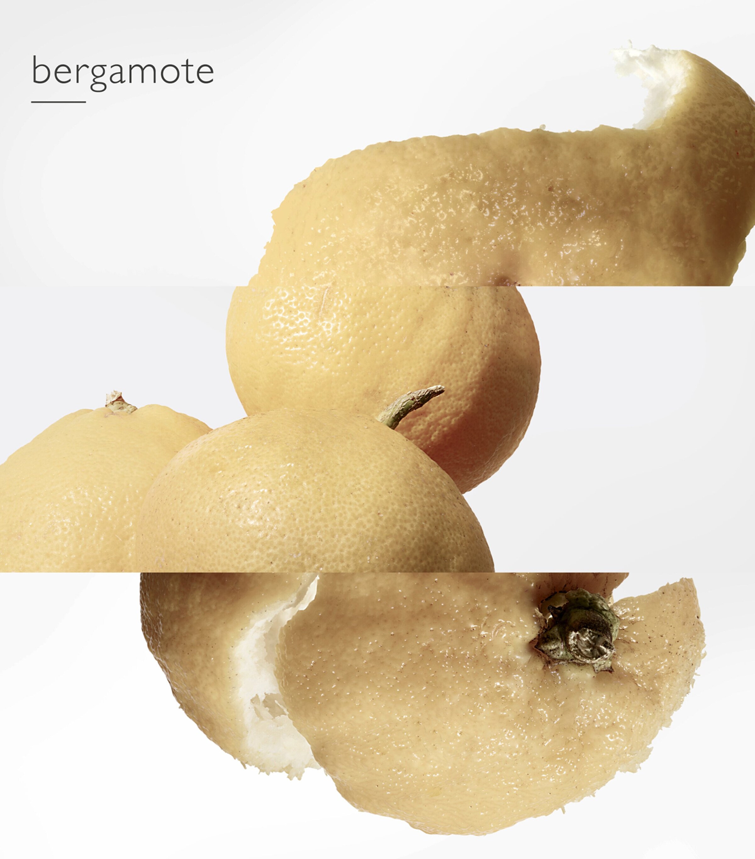 Le Jardin de Monsieur Li Eau de Toilette (100ml) NO COLOUR Image 5